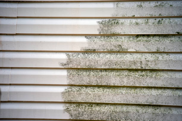 Best Property Management Cleanouts  in Lemay, MO